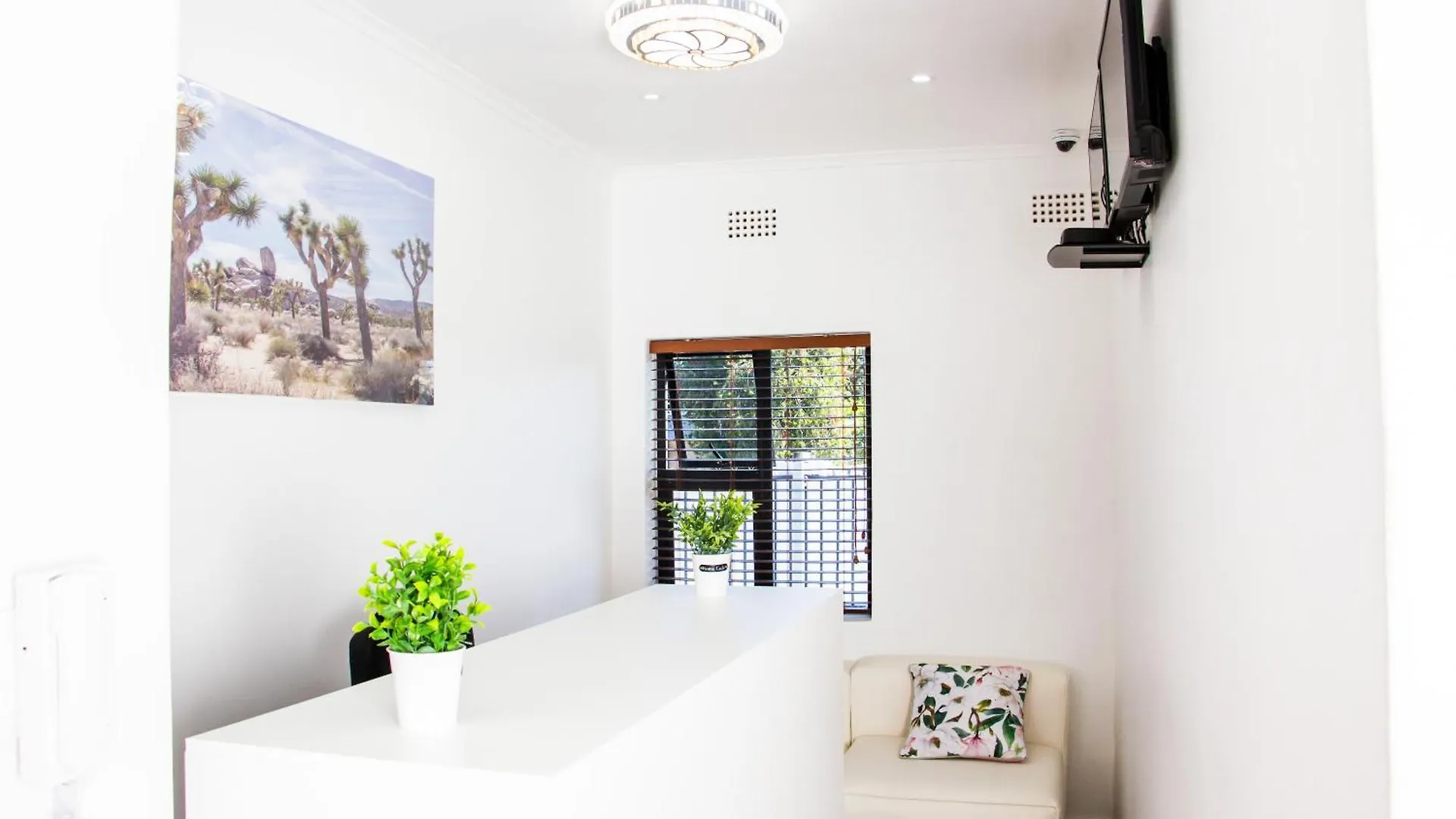 Botha Villa Lodge Goodwood Cape Town South Africa