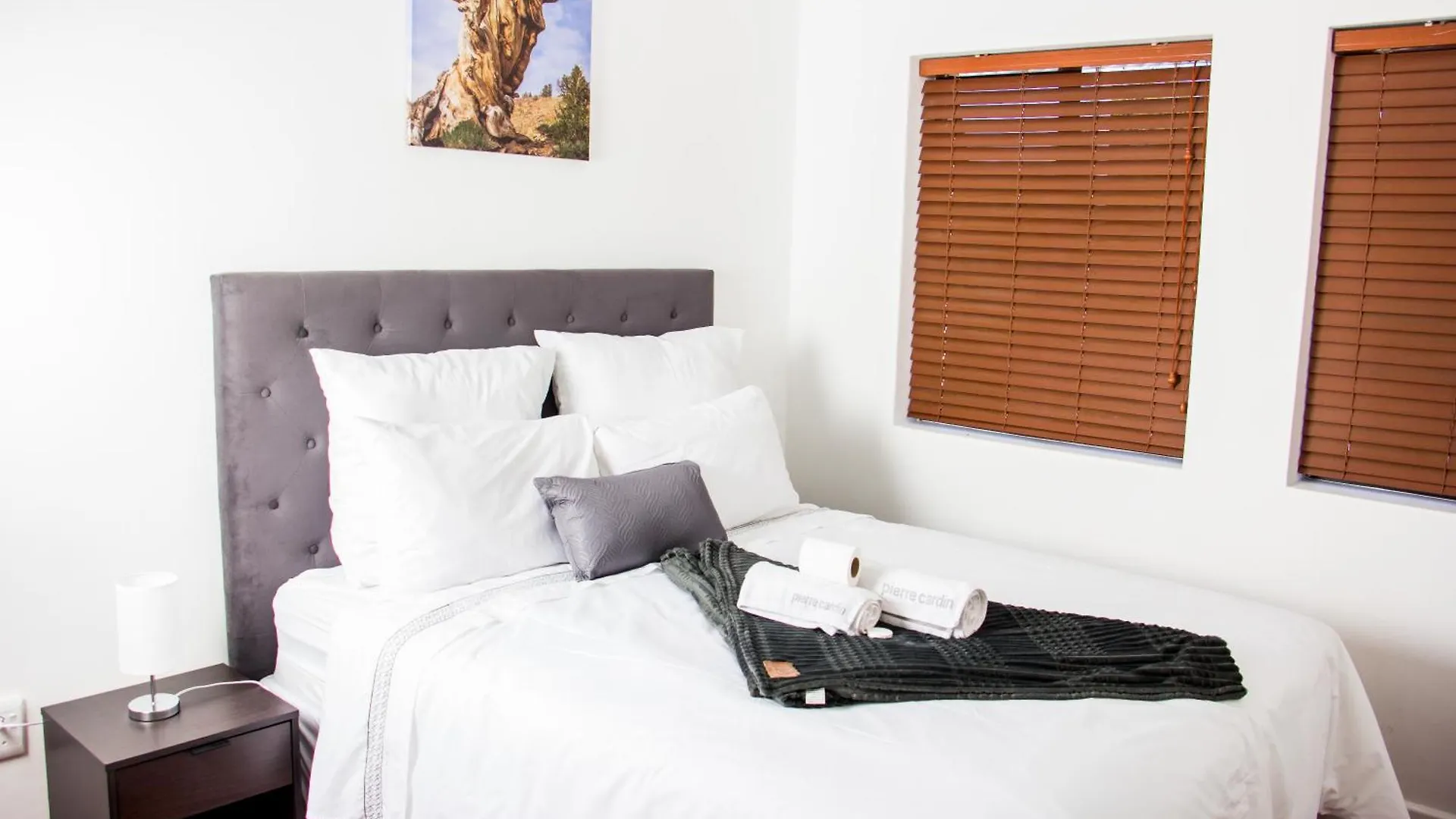 Botha Villa Lodge Goodwood Cape Town South Africa